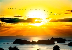 99islands