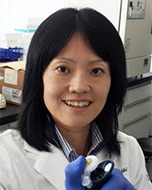 Dr. Akiko Eguchi
