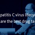 Hepatitis C virus lifecycle: What are the best drug targets? Hepatitis C virus lifecycle: What are the best drug targets?