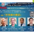 Liver transplantation perspective