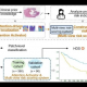 Explore an innovative, data-driven approach to hepatocellular carcinoma care.