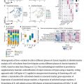 Please check the latest articles !! Hepatology International