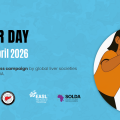 World Liver Day is just around the corner!! April 19, 2026